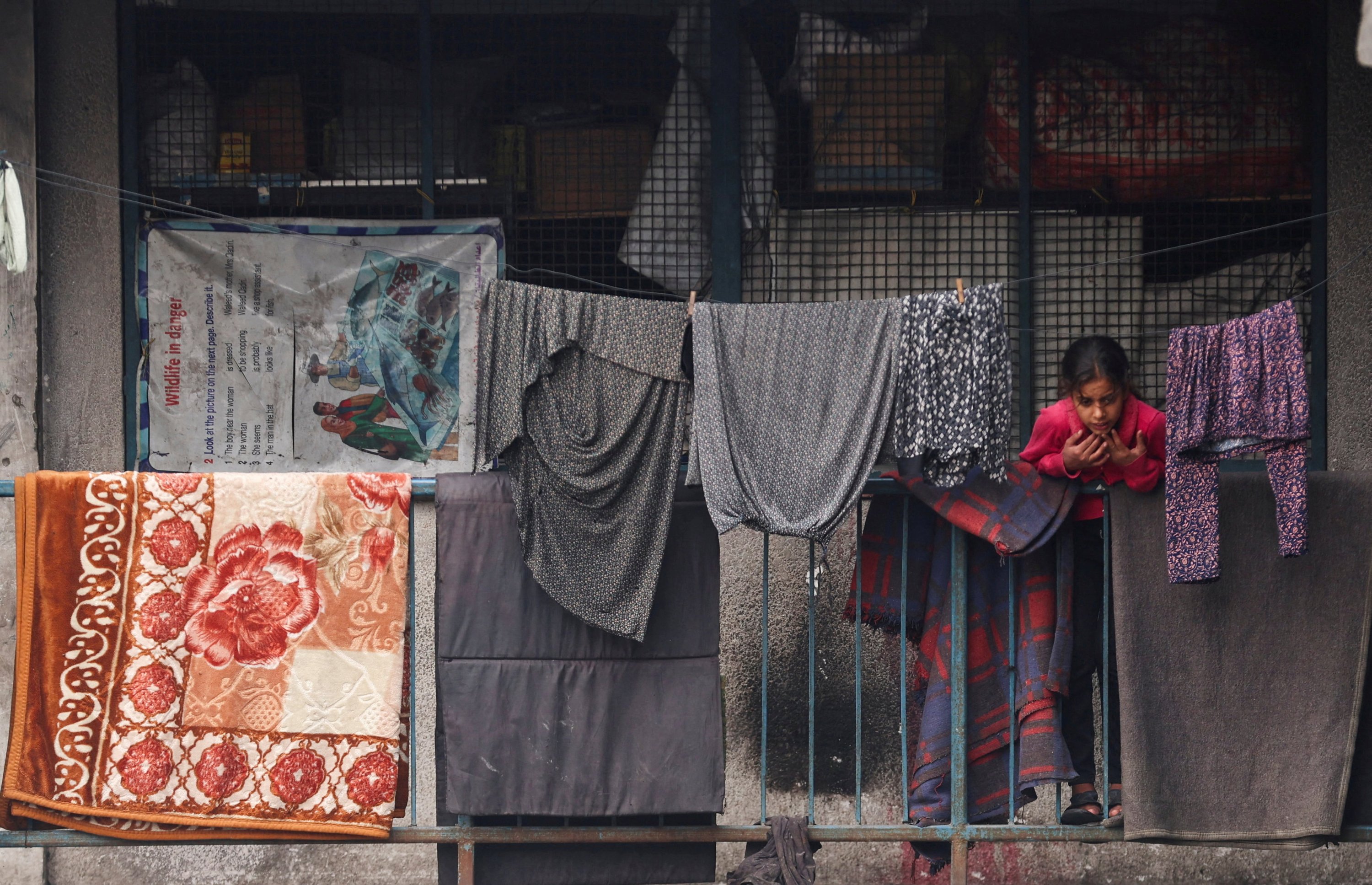 Over 75,000 displaced Gazans sheltering in 100 UN buildings: UNRWA