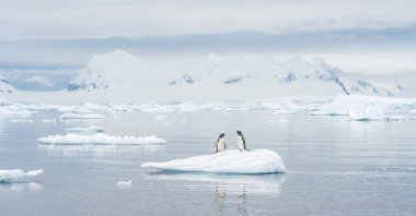 The Hektoria Glacier on the eastern Antarctic Peninsula retreated at the fastest pace recorded in modern history in 2022, according to research published on Monday. (Shutterstock Photo)