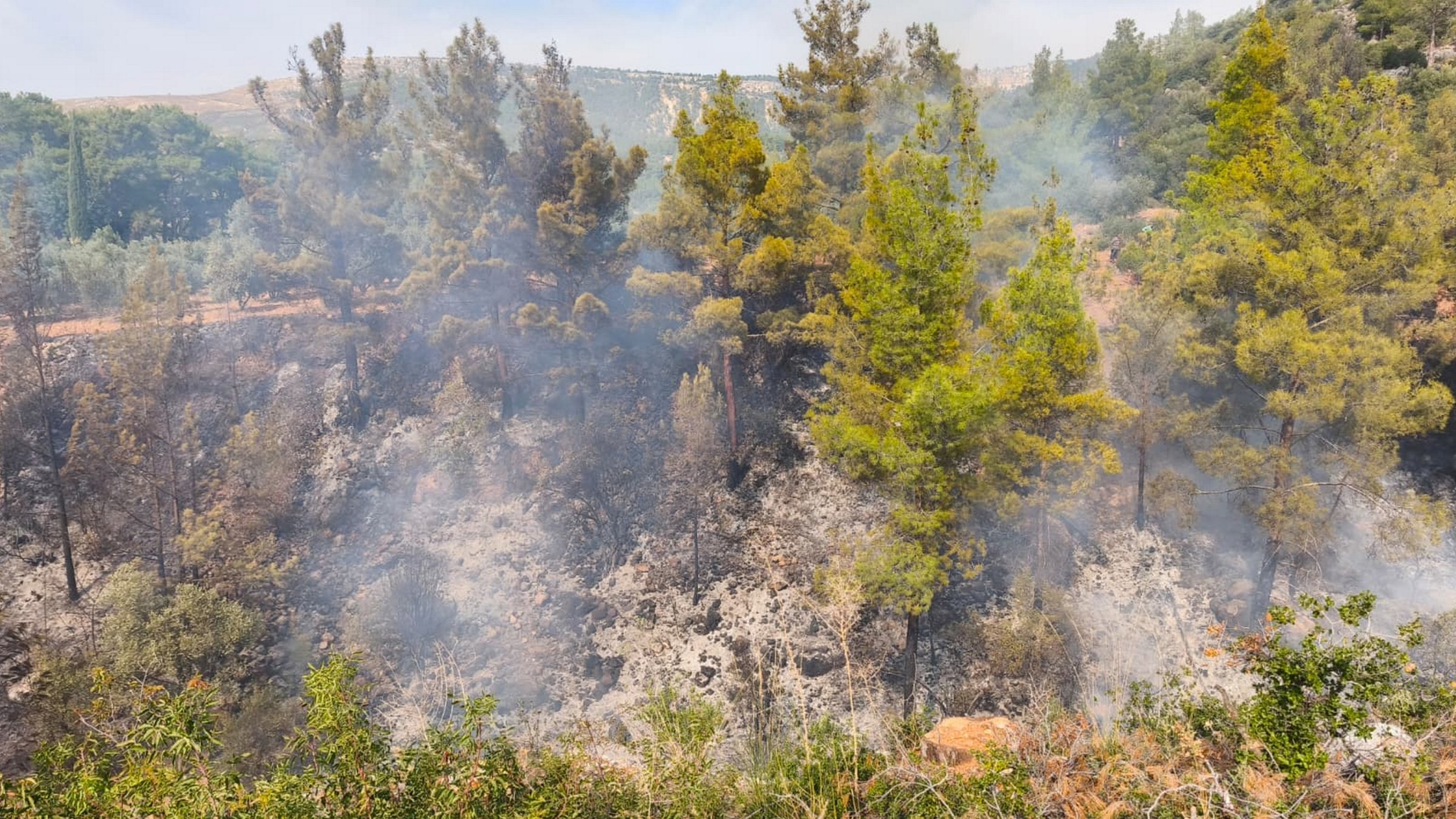 Firefighters work to stop a blaze that broke out while a resident was burning weeds in a garden, Mersin, Türkiye, Nov. 3, 2025. (AA Photo)