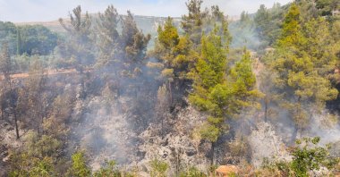 Firefighters work to stop a blaze that broke out while a resident was burning weeds in a garden, Mersin, Türkiye, Nov. 3, 2025. (AA Photo)