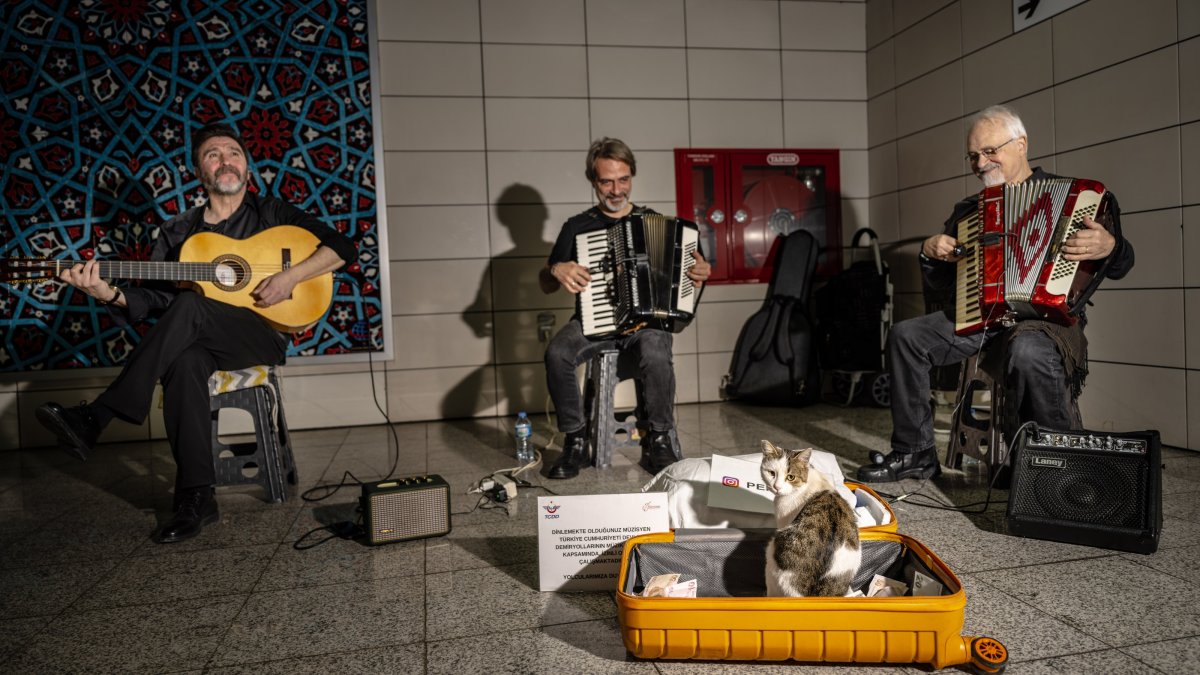 Music, meows, Marmaray: Istanbul’s station cat charms commuters