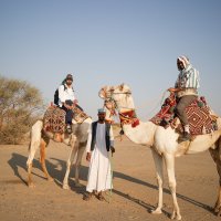 Pilgrims on camels during their journey to Medina, Saudi Arabia, Nov. 4, 2025. (AA Photo)