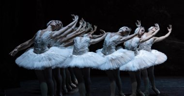 A scene from &quot;Swan Lake,&quot; Istanbul, Türkiye. (Courtesy of AKM)