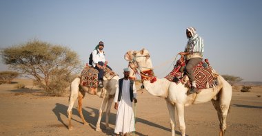 Pilgrims on camels during their journey to Medina, Saudi Arabia, Nov. 4, 2025. (AA Photo)