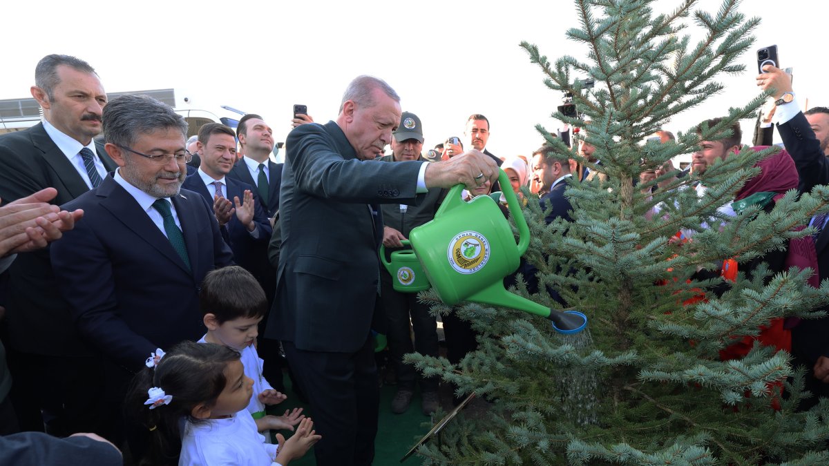 President Recep Tayyip Erdoğan waters a sapling during a tree-planting campaign on National Forestation Day, Ankara, Türkiye, Nov. 11, 2025. (AA Photo)