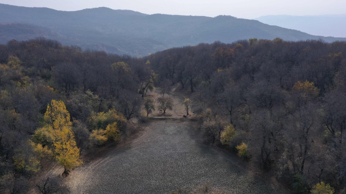 Hotter, drier, scarcer: Climate crisis in Kyrgyz walnut forests