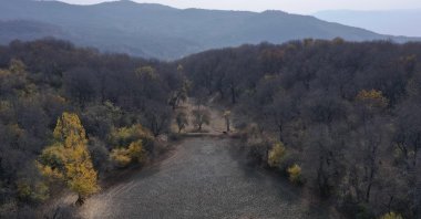 An aerial view shows walnut forests in Arslanbap, the Jalal-Abad region, Kyrgyzstan, Oct. 21, 2025. (AFP Photo)