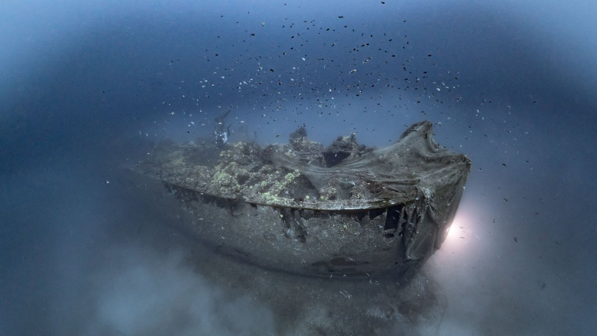 WWI wreck site in Türkiye attracts 15,000 divers