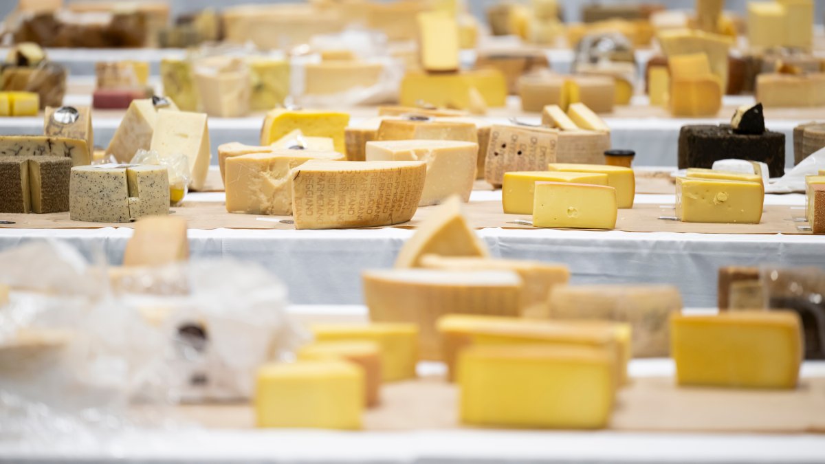 Cheeses from different countries are pictured during the 37th World Cheese Awards, at the Festhalle in Bern, Switzerland, Nov. 13, 2025. (AP Photo)