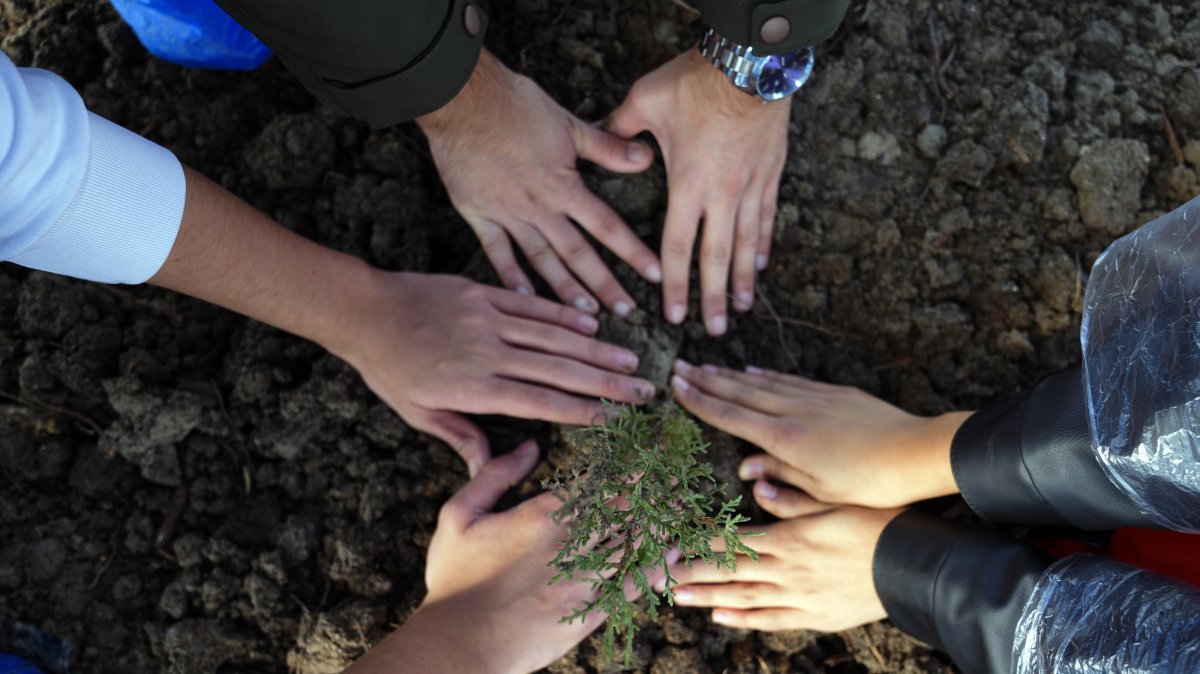 Over 1M citizens join Türkiye’s largest tree-planting campaign