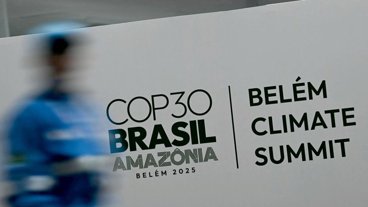 Türkiye made 'significant progress' in renewable investments: IRENA