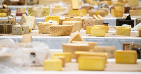 Cheeses from different countries are pictured during the 37th World Cheese Awards, at the Festhalle in Bern, Switzerland, Nov. 13, 2025. (AP Photo)