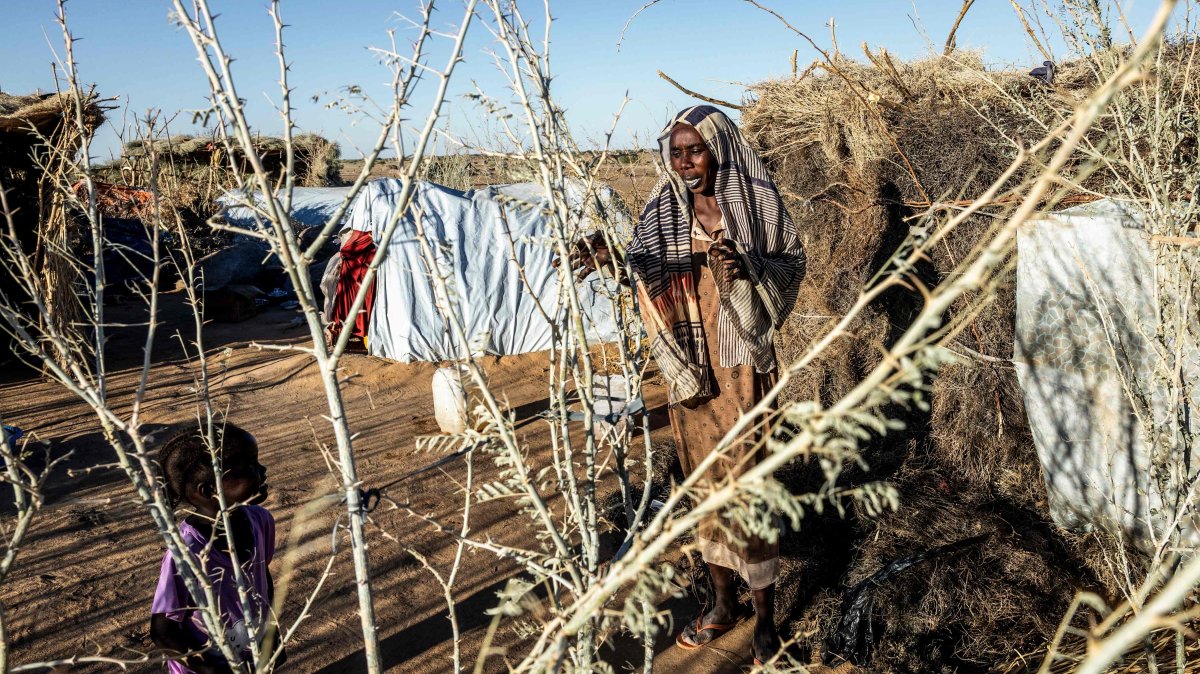 Sudan army makes advances on RSF as Kordofan clashes intensify