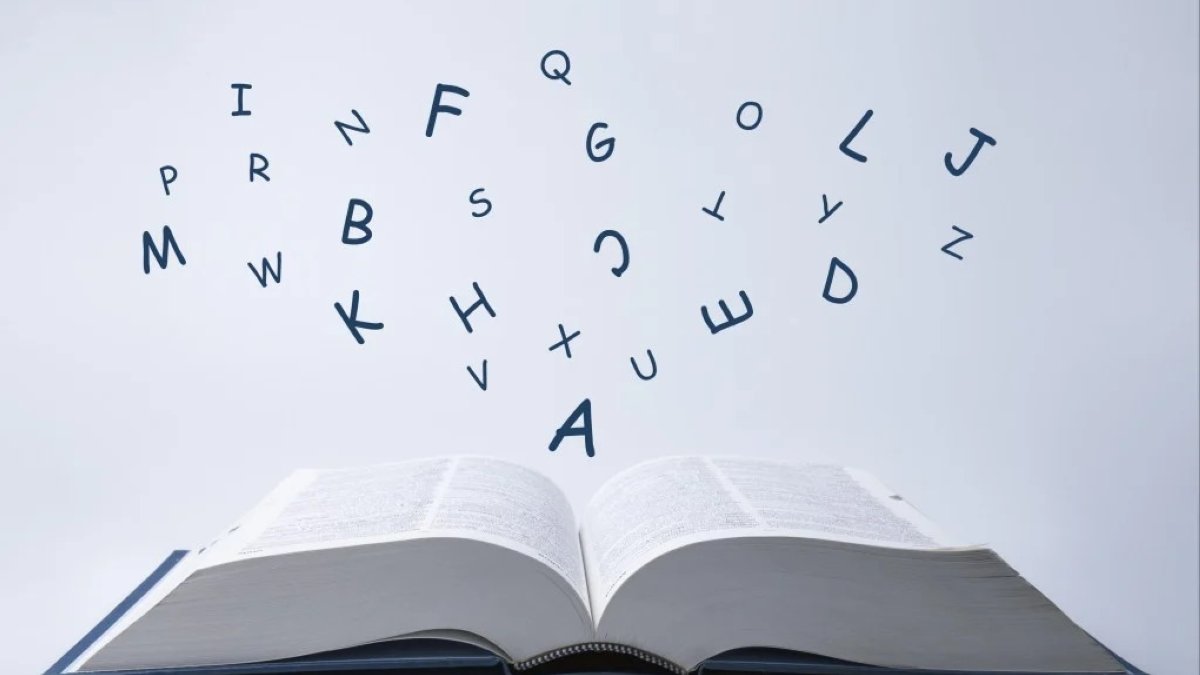 2025’s word of year, ‘parasocial’ captures modern fandom culture