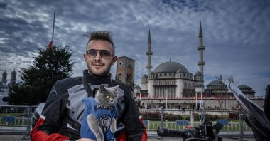 Gofret enjoys a sunny day exploring Sultanahmet alongside her owner, Istanbul, Türkiye, Nov. 20, 2025. (AA Photo)