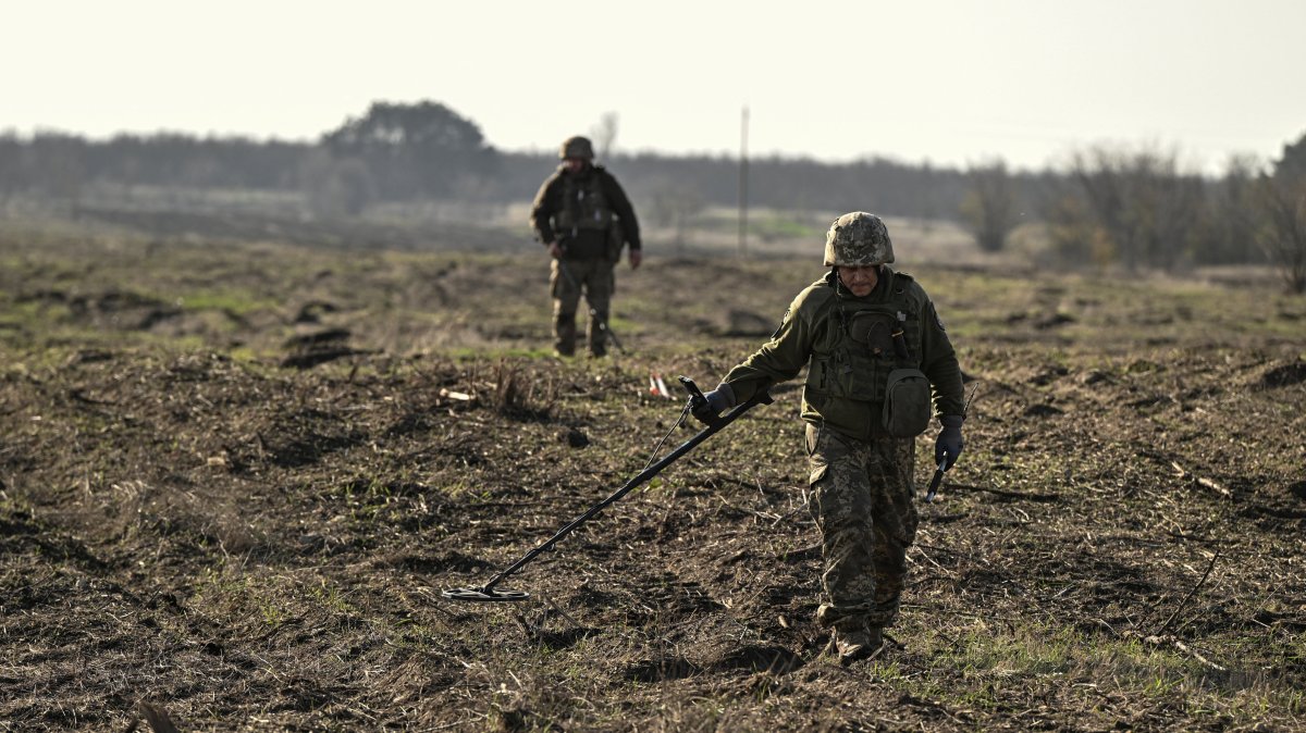 Ukrainian soldiers use metal detectors to search for explosive devices during demining a field, Kherson, Ukraine, Nov. 22, 2025. (Reuters Photo)