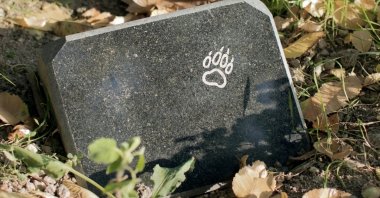 Pet cemeteries are booming in Türkiye’s big cities as owners struggle to find burial space. (Shutterstock Photo)