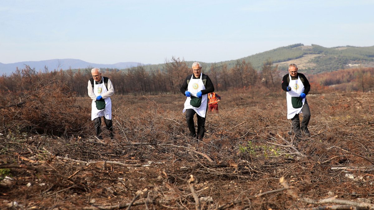 Forestry workers plant saplings as part of a “green homeland” restoration project in Manisa, western Türkiye, Nov. 26, 2025. (AA Photo)