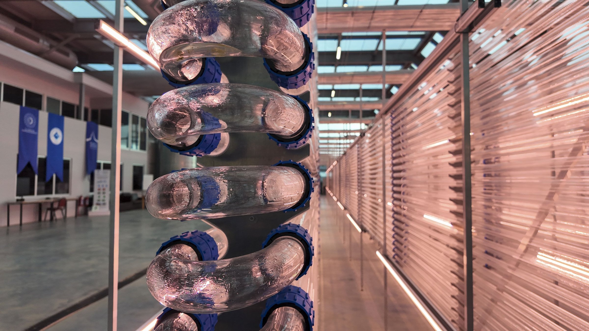 Boğaziçi University partners with French firm to develop biopesticides