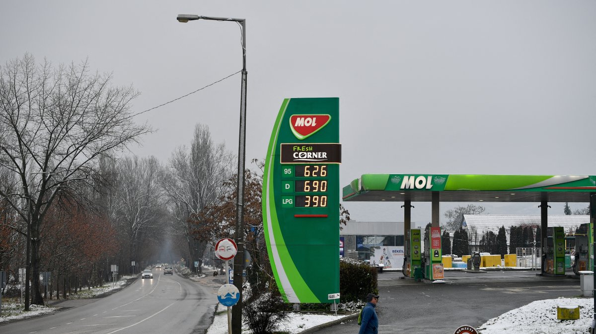 Hungary's MOL could buy stake in Serbia's NIS: Official