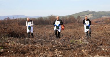 Forestry workers plant saplings as part of a “green homeland” restoration project in Manisa, western Türkiye, Nov. 26, 2025. (AA Photo)