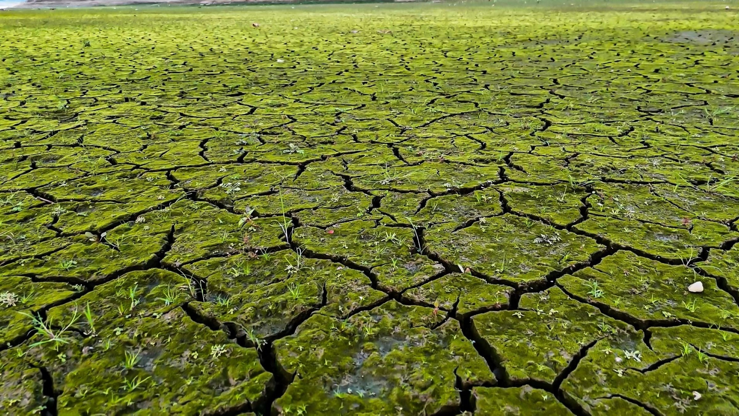 Istanbul’s reservoir levels drop despite increased October rainfall