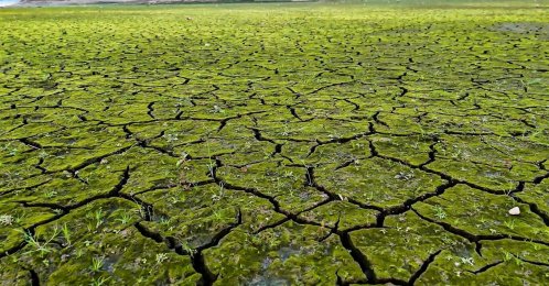 Low water levels at Ömerli Dam reveal cracked and dried sections amid escalating drought risks, Istanbul, Türkiye, Nov. 11, 2025. (IHA Photo)