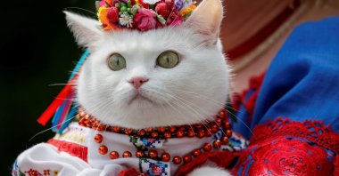A woman dressed in a traditional Ukrainian embroidered shirt holds her cat as she takes part in an embroidered shirt parade, central Kyiv, Ukraine, May 27, 2017. (Reuters Photo)