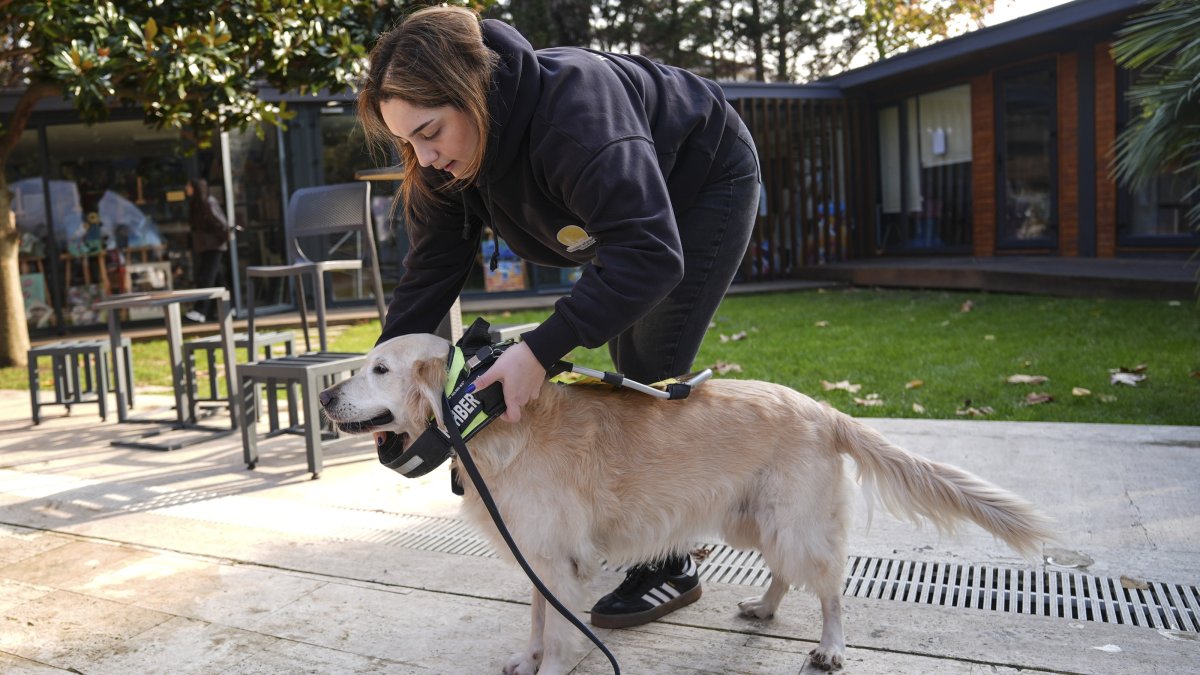 Türkiye’s guide dogs enhance safe mobility for visually impaired