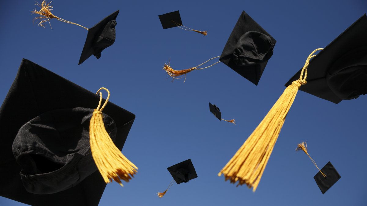 Possibility of new language in Türkiye, universities and civic sphere