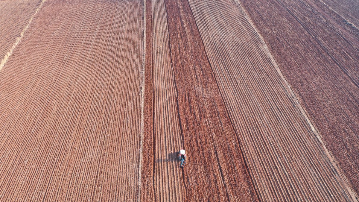 Agricultural land showcasing soil’s vital role in food security, Şanlıurfa, Türkiye, Dec. 5, 2025. (AA Photo)