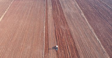 Agricultural land showcasing soil’s vital role in food security, Şanlıurfa, Türkiye, Dec. 5, 2025. (AA Photo)