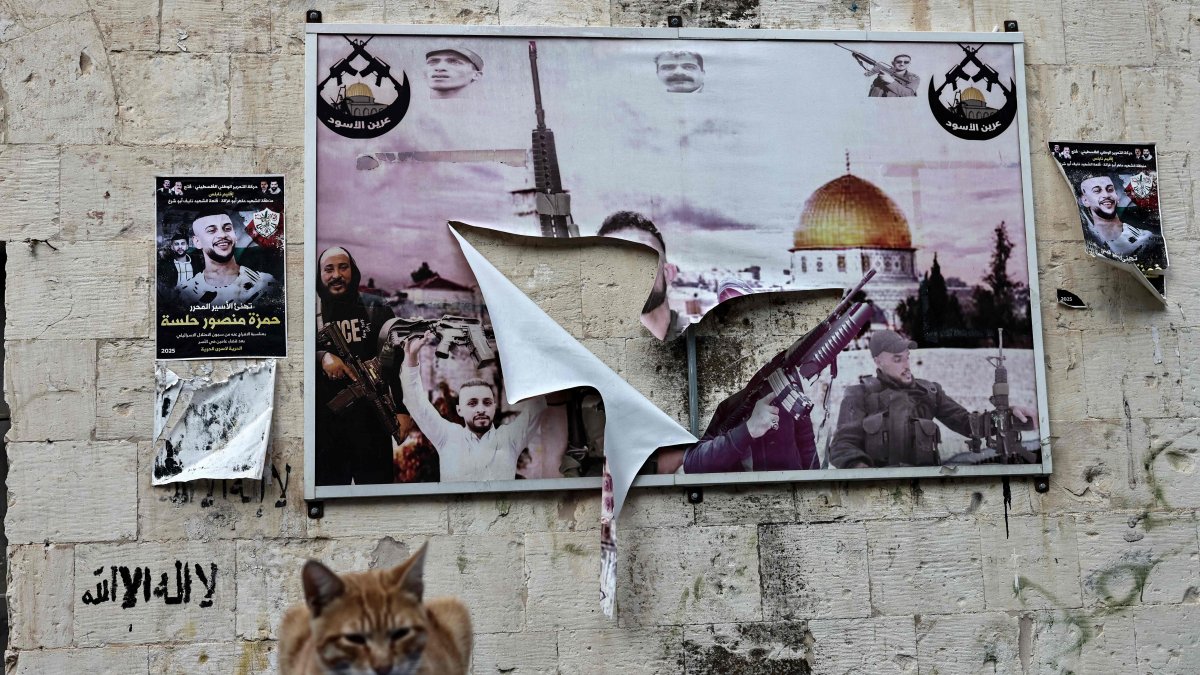 A cat sits next to a poster of slain Palestinian fighters that was torn during an Israeli raid, Old City of Nablus, occupied West Bank, Palestine, Dec. 6, 2025. (AFP Photo)