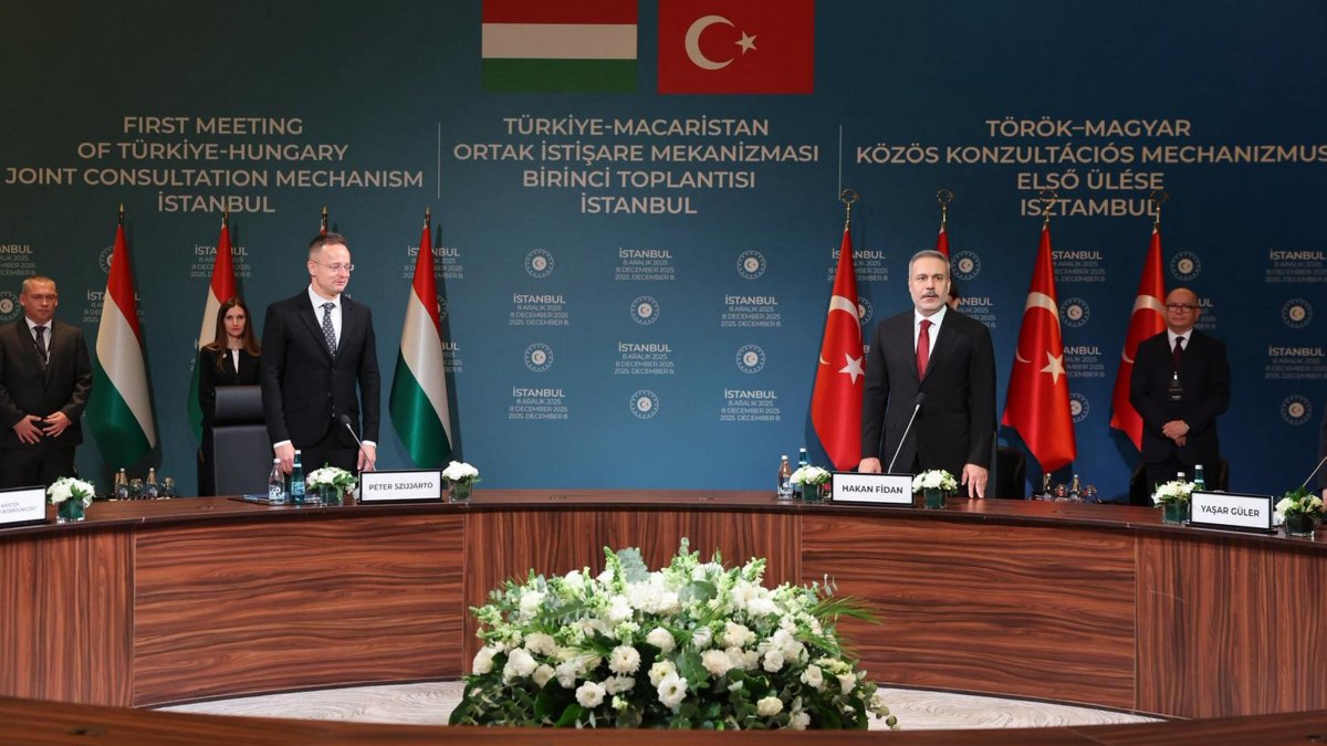 Türkiye, Hungary kick off joint consultation mechanism