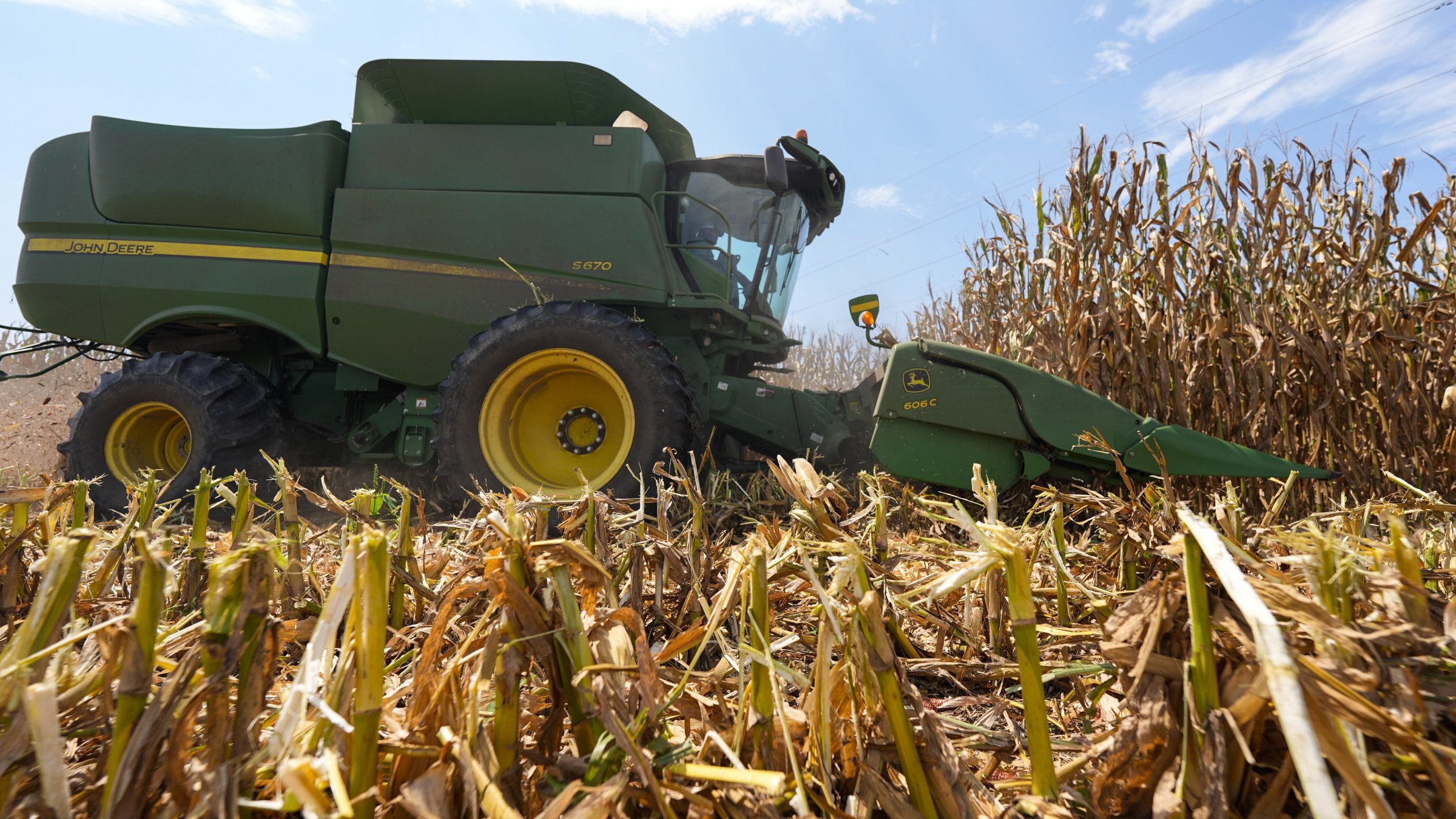A farmer harvests seed corn near Albany, Ga., July 29, 2025. (AP File Photo)