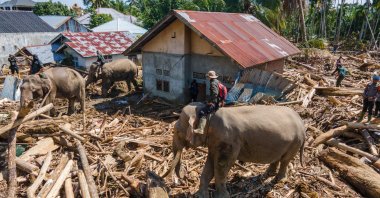 Members of Indonesia&#039;s Mobile Brigade Corps deploying Sumatran elephants to help clear tree debris following flash floods, Aceh province, Indonesia, Dec. 8, 2025. (AFP Photo)