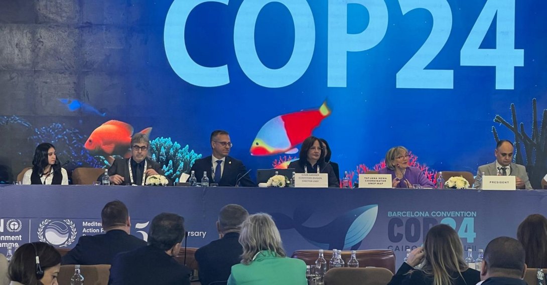 Attendees and delegates are photographed during the 24th Conference of the Contracting Parties to the Barcelona Convention, known as COP24, held in Cairo, Egypt, between Dec. 2 to 5, 2025. (AA Photo)