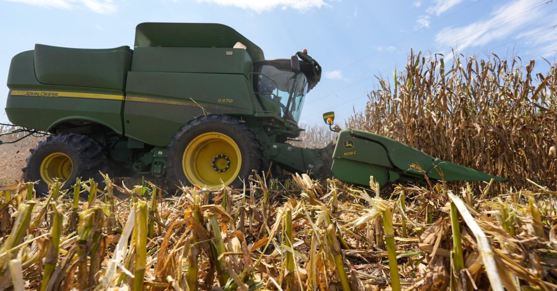 A farmer harvests seed corn near Albany, Ga., July 29, 2025. (AP File Photo)