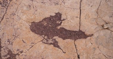 A petrified footprint by a dinosaur is visible in Carreras Pampa, Toro Toro National Park, north of Potosi, Bolivia, Dec. 6, 2025. (AP Photo)