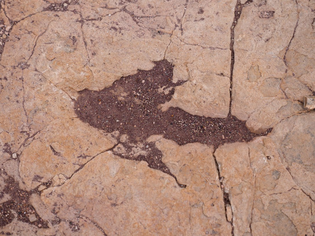 A petrified footprint by a dinosaur is visible in Carreras Pampa, Toro Toro National Park, north of Potosi, Bolivia, Dec. 6, 2025. (AP Photo)