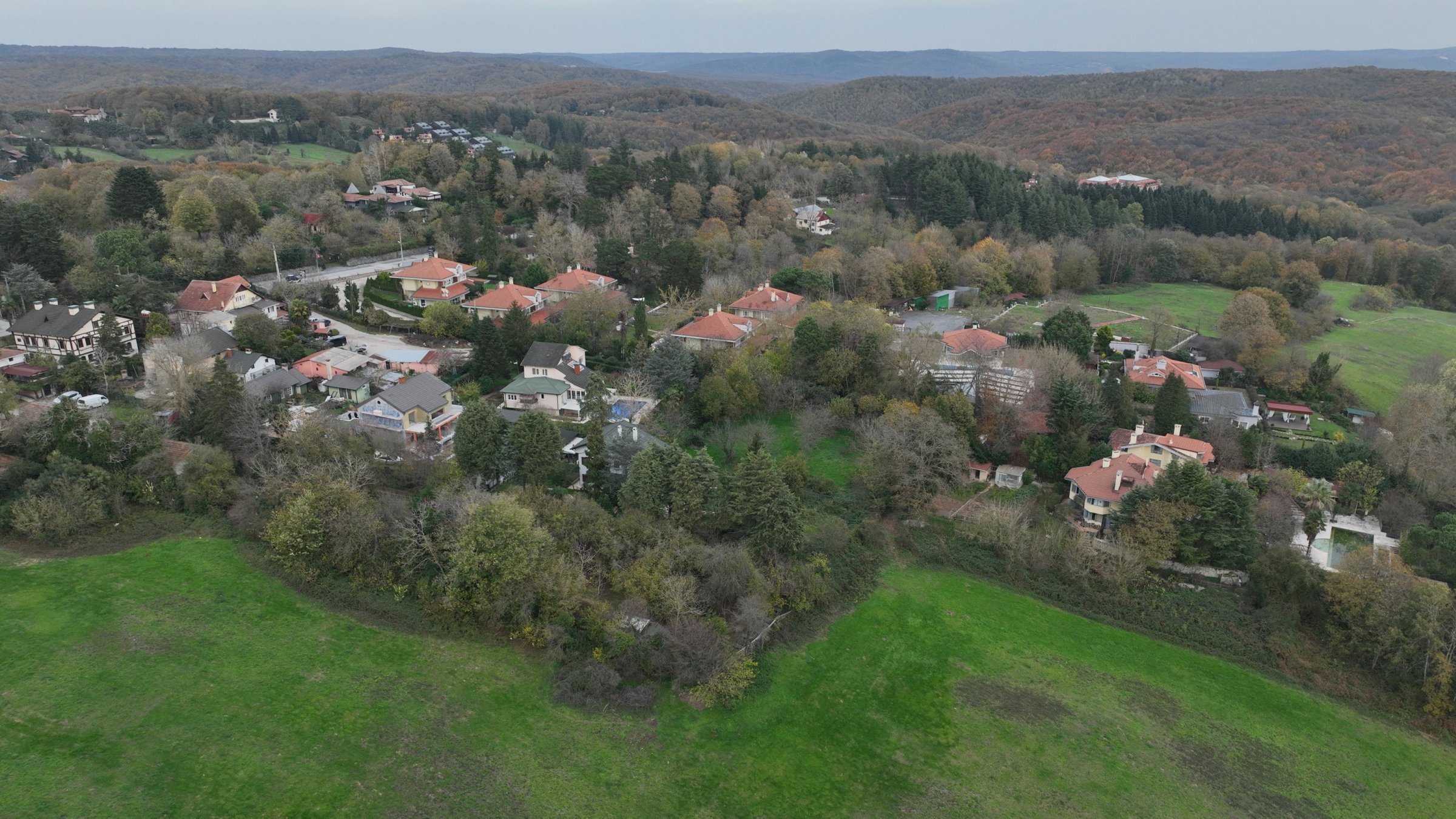 Türkiye ranks among top nations increasing forest coverage