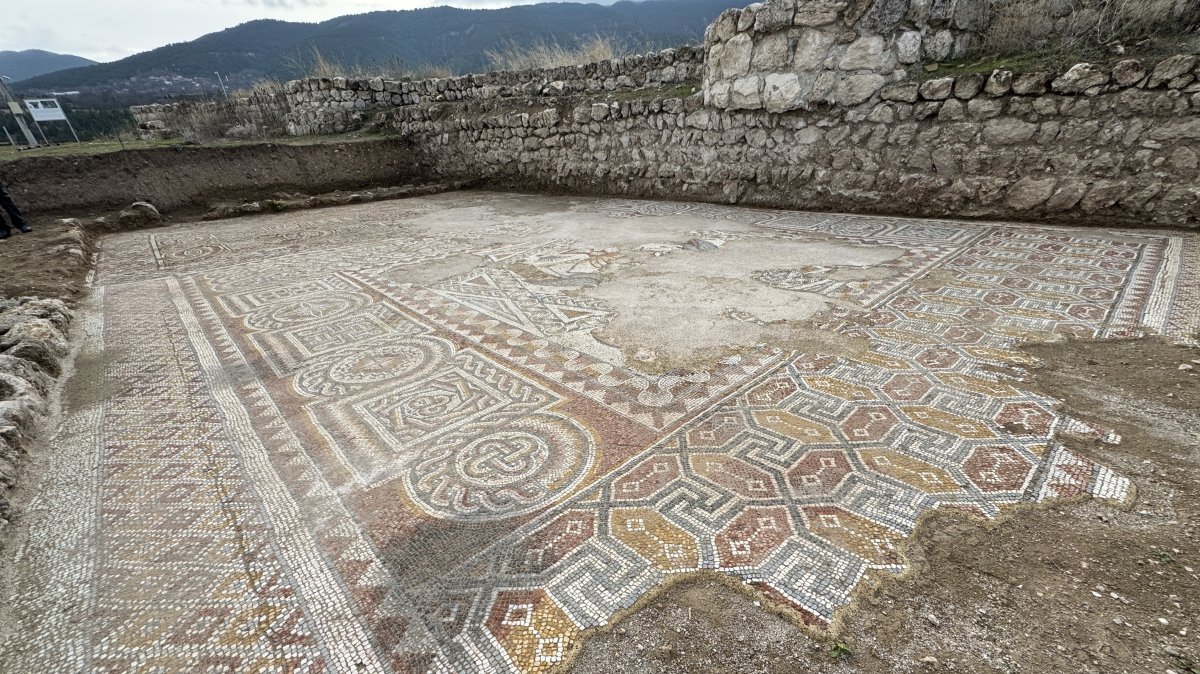 Rare 4th-century mosaic hall unearthed in Türkiye’s ancient Hadrianopolis