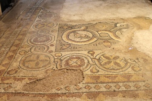 Floor mosaics, 1,600 years old, uncovered at an excavation site in the Turkish Black Sea province of Sinop, Türkiye, Dec. 12, 2025. (AA Photo)