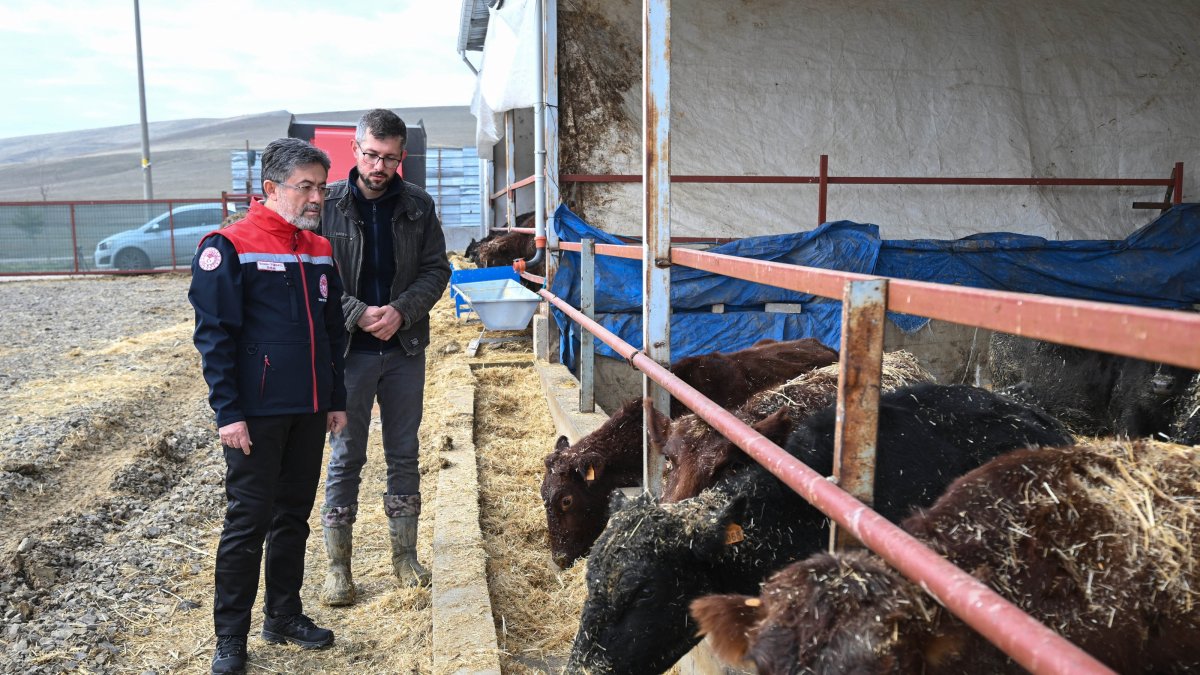 Agriculture and Forestry Minister Ibrahim Yumaklı inspects breeding cattle distributed under the livestock support program, Ankara, Türkiye, Dec. 11, 2025. (AA Photo)