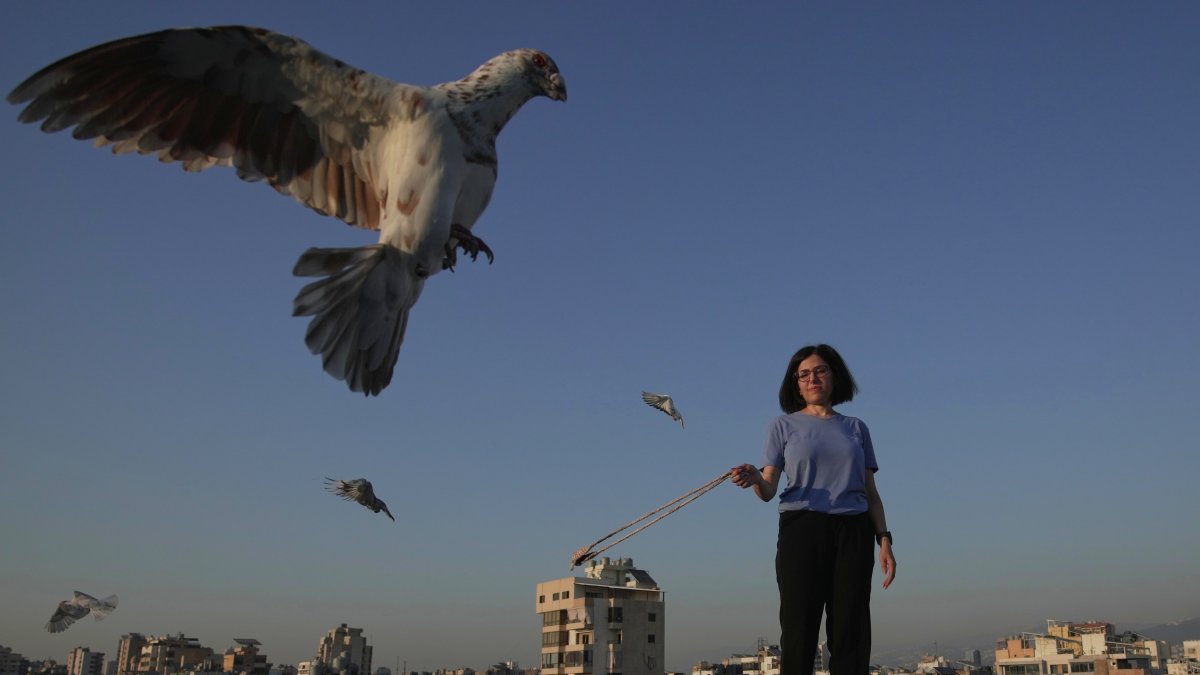 Beirut woman finds daily peace caring for rooftop pigeons
