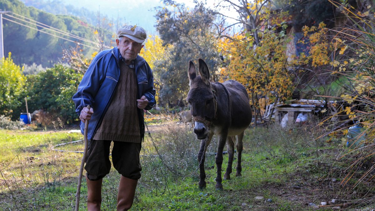 Donkey becomes guide for visually impaired man in Türkiye
