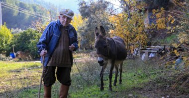 Visually impaired Raif Kurt navigates a rural road with the help of his donkey, Manisa, Türkiye, Dec. 2, 2025. (AA Photo)