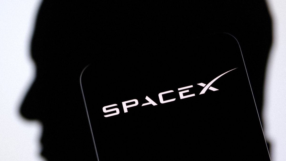 The SpaceX logo and Elon Musk's silhouette are seen in this illustration, Dec. 19, 2022. (Reuters Photo)