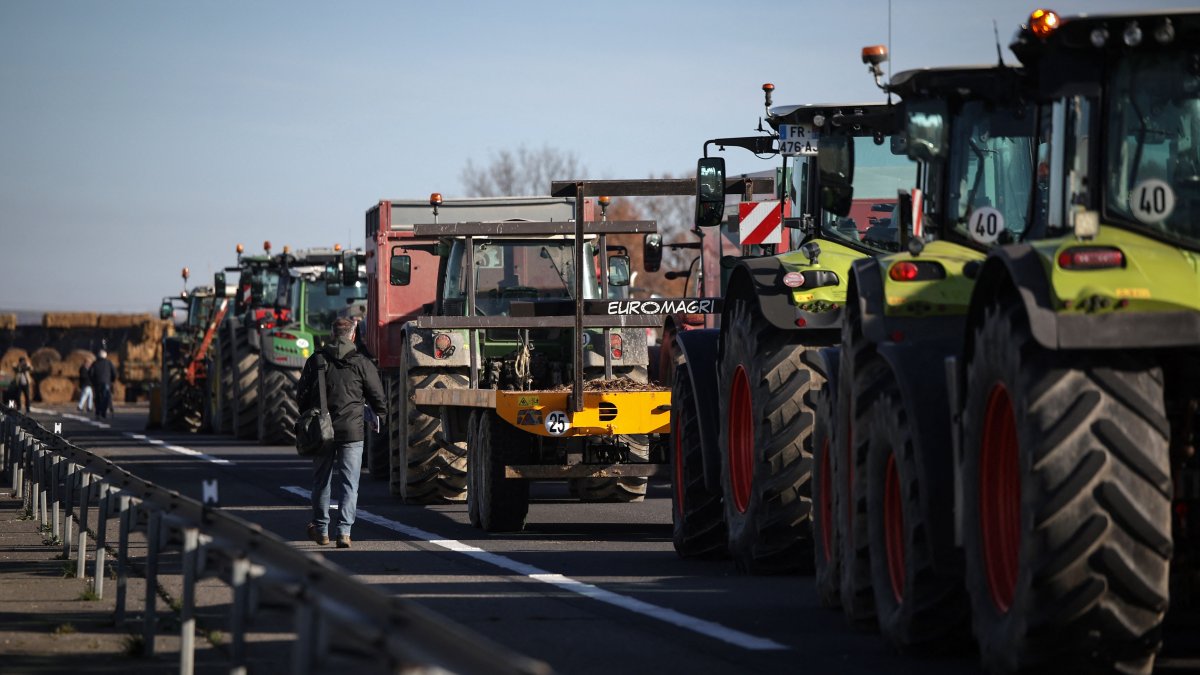 French farmers block roads to protest culling of cows