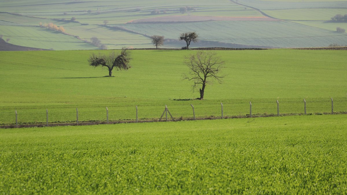 Türkiye plays leading role in regional climate action: UNDP